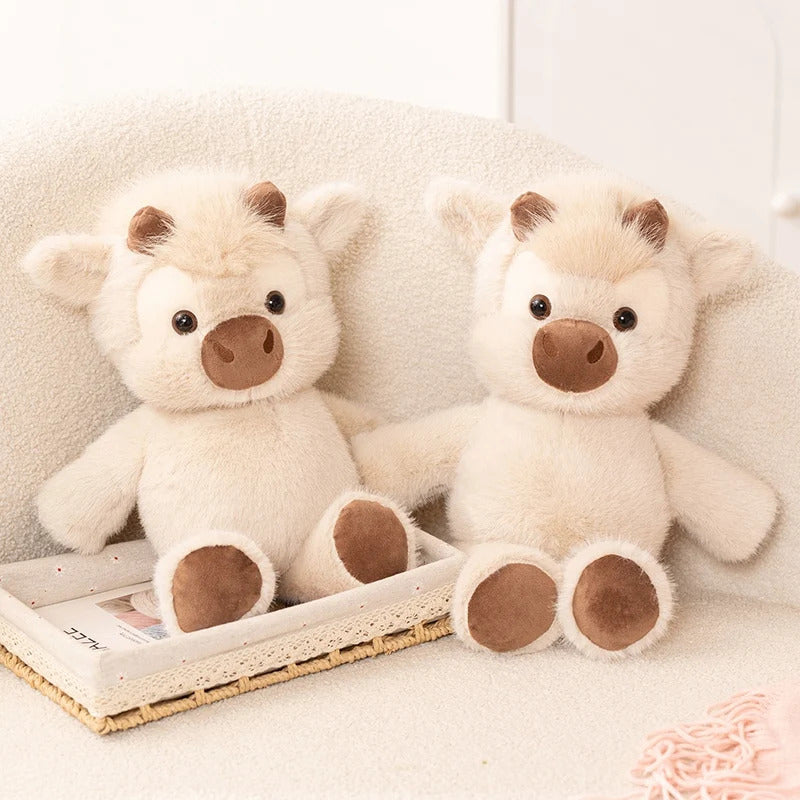 Cammina Buddy - EnjoyCo